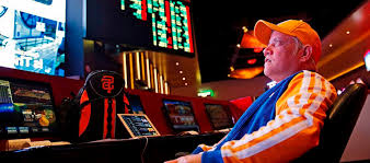 Как войти на сайт Vulpin Casino